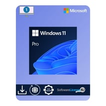 Windows 11 Professional -lisenssi