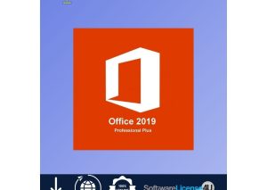 Office 2019 Professional Plus License